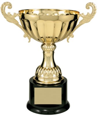Copy of 11 1/2" Completed Metal Cup Trophy on Plastic Base