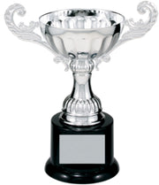 Gold or Silver Completed Metal Cup Trophy on Plastic Base