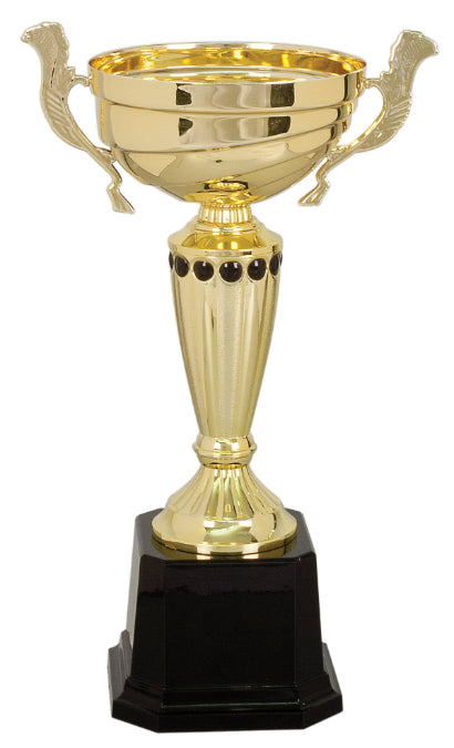 Metal Trophy Cup | Custom Trophy Cup | Laser Etched