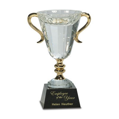 Custom Engraved Trophies & Awards | Personalized Gifts - LaserEtched